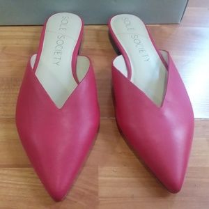 Red Slip On Pointy Toe Mules